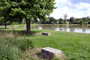 Etang-de-la-Villée-min