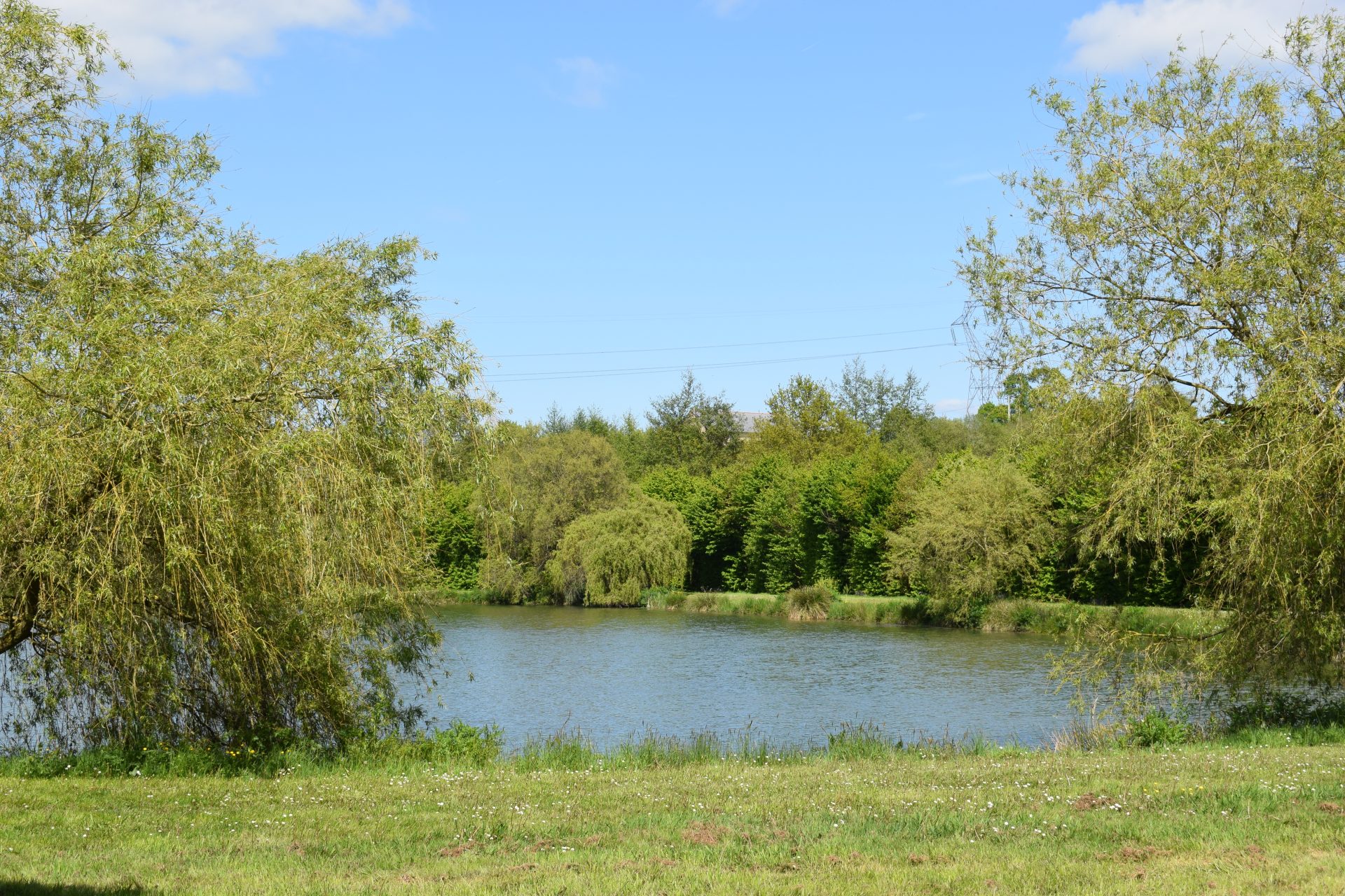 Ouverture de la pêche